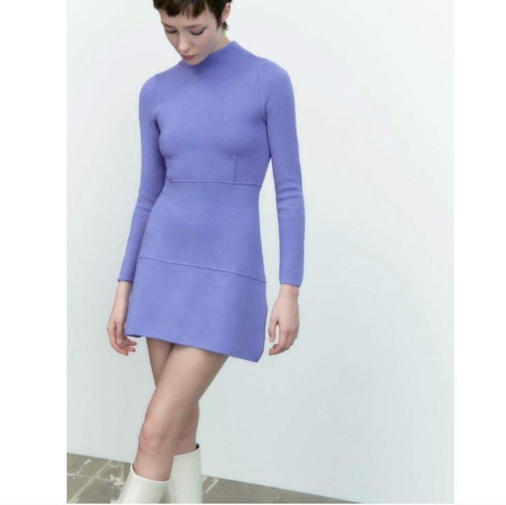 Zara Ribbed Knit Seamed Turtleneck Long Sleeve Skater Dress